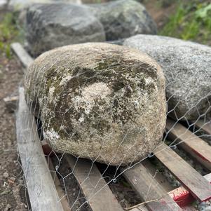 Landscape Boulders